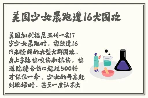 91短视频官网